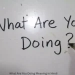 What Are You Doing Meaning in Hindi