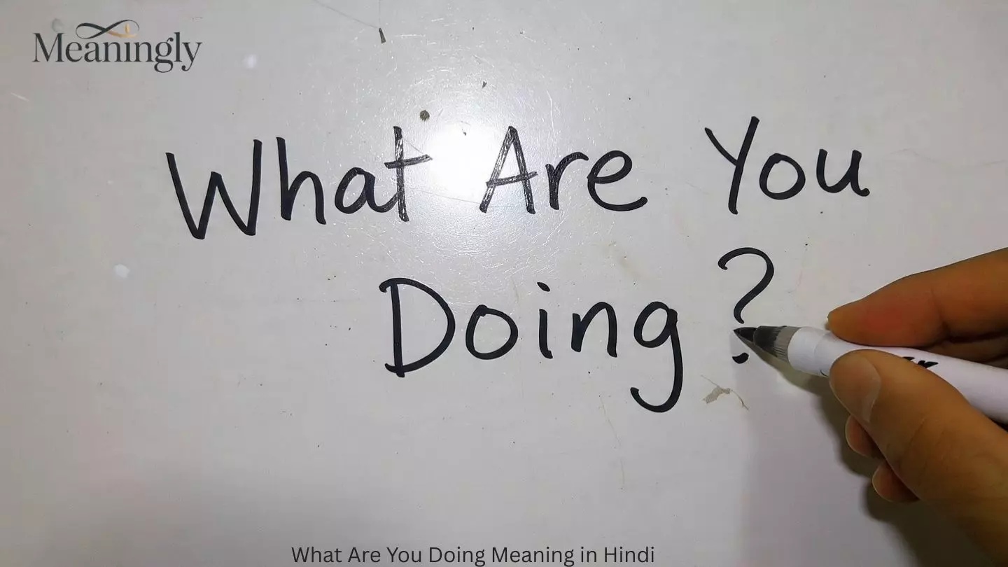 What Are You Doing Meaning in Hindi