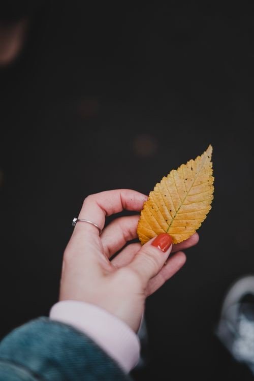 Muted Rust Earthy Nails For Autumn example for Earthy nail inspo ideas