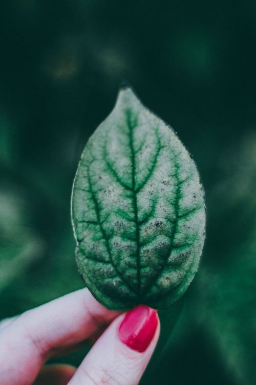 Earthy Nails With Minimal Line Art example for Earthy nail inspo ideas