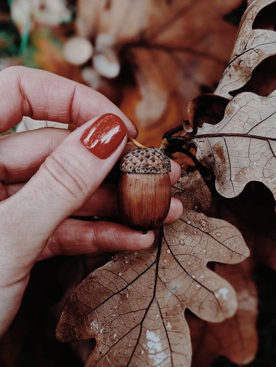 Grounding Earthy Nails For Everyday Wear example for Earthy nail inspo ideas
