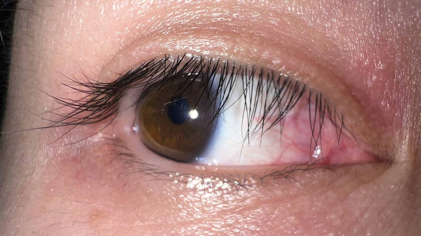 Comparison of dense dramatic lashes versus feathery wispy lashes