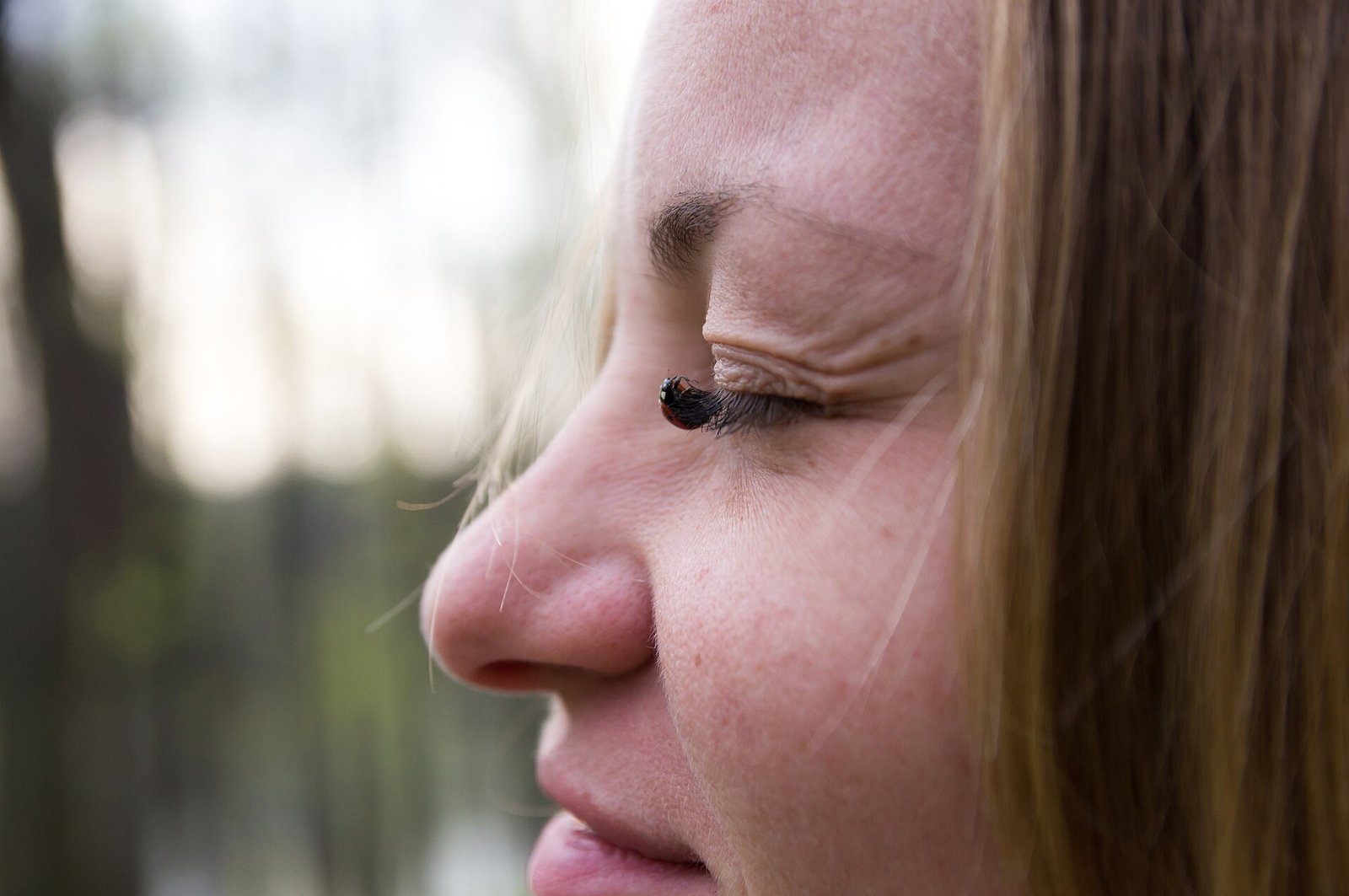 Assortment of wispy false lash styles in packaging showing band types