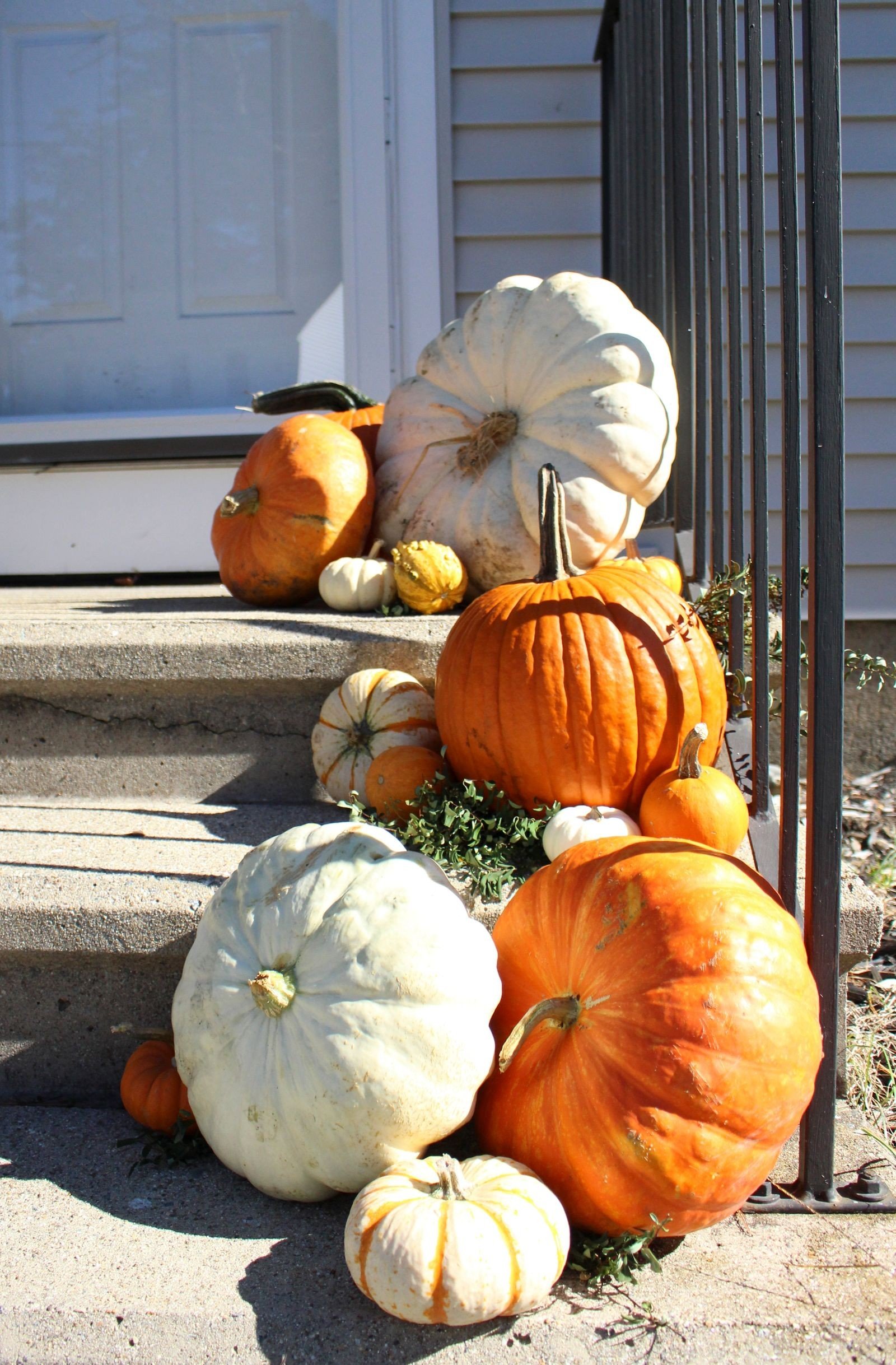 terracotta pumpkin decor ideas — Final Thoughts on Terracotta Pumpkin Decor