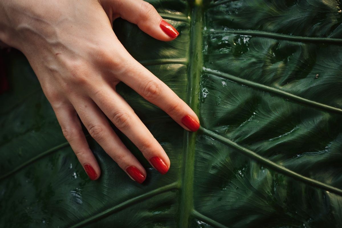 Black cherry cat eye nails with luxurious gold accent details