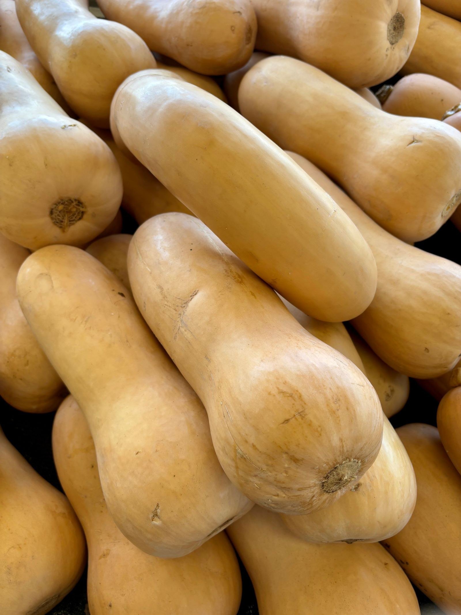 Squash and Apple Soup with Ginger for Butternut squash recipes ideas