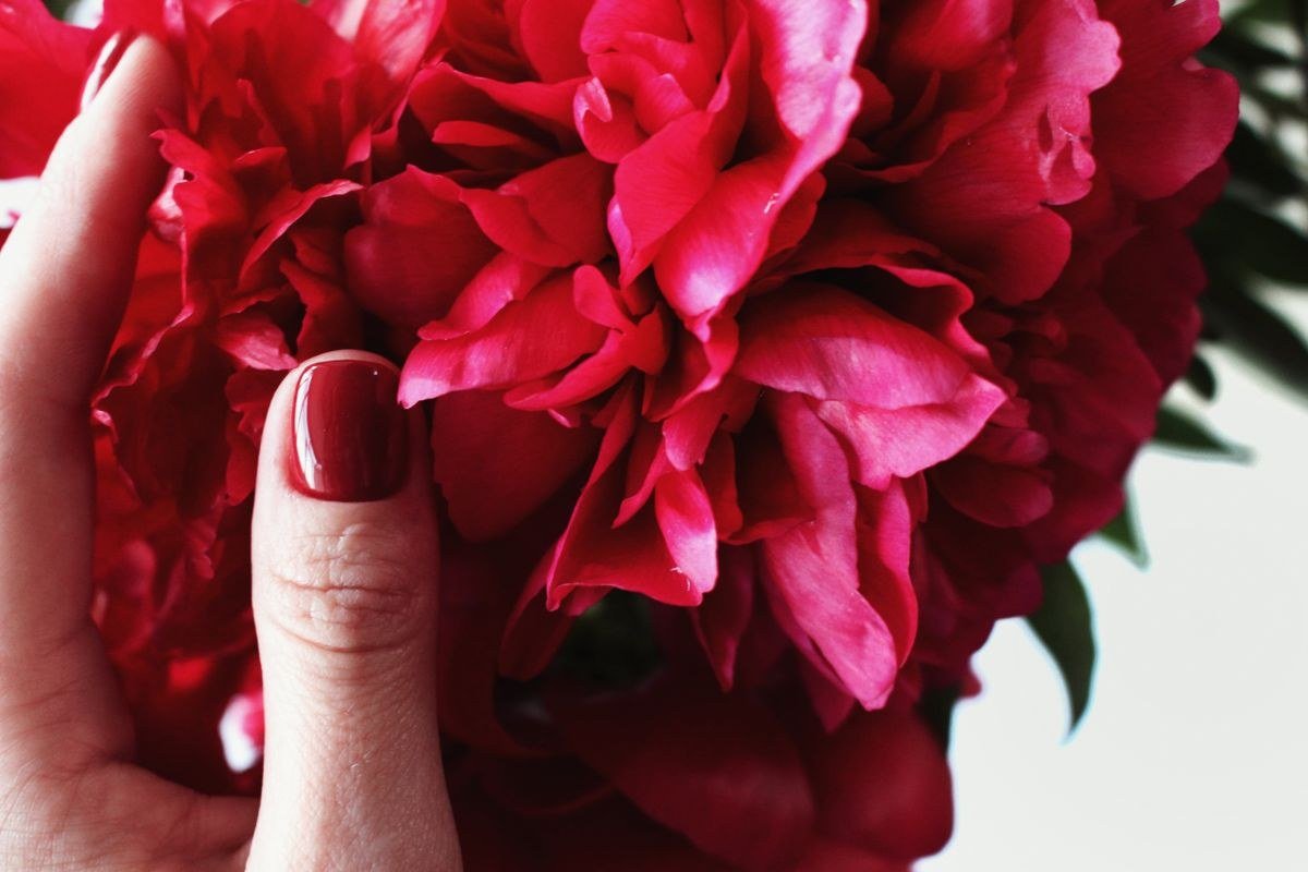 Dark red velvet cat eye nails with creative artistic twist