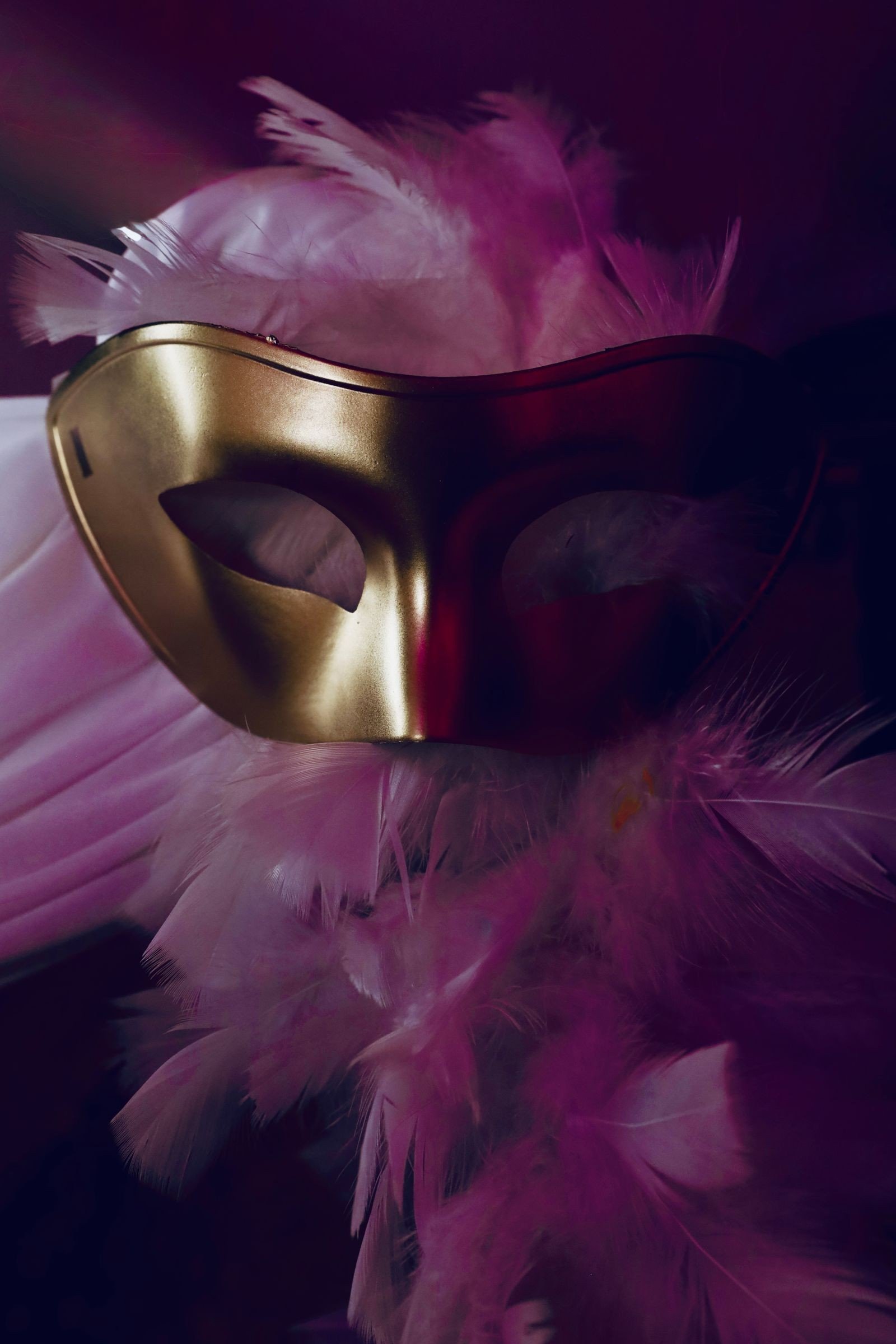 gothic masquerade halloween party ideas — After the Party: Cleanup and Memories