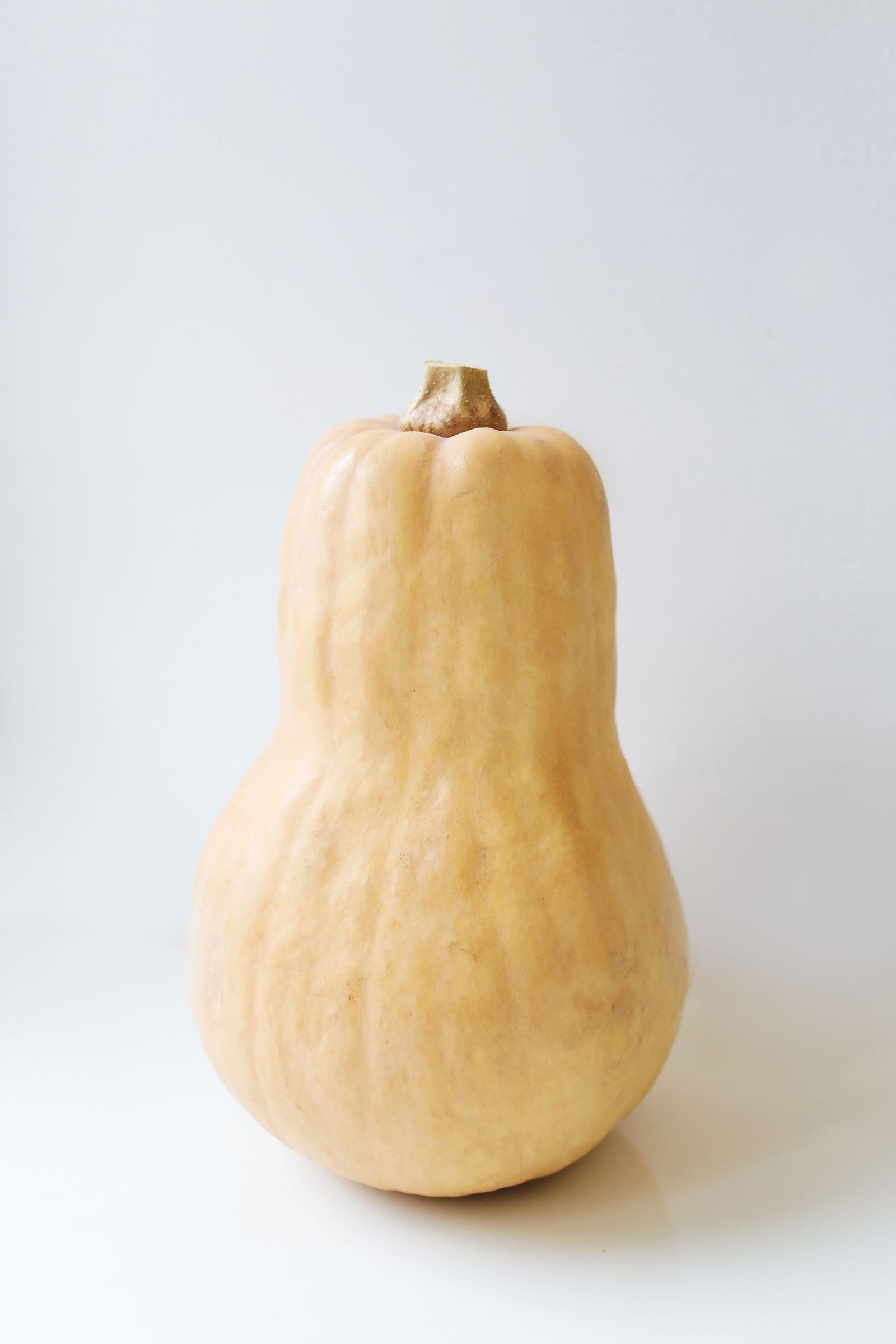 Storing, Freezing and Using Leftovers for Butternut squash recipes ideas