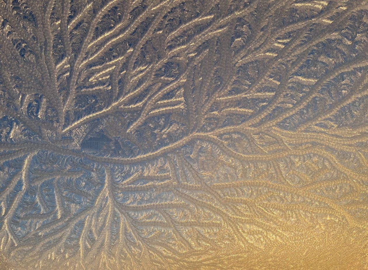 Close-up of intricate frost patterns on a window with a warm golden light