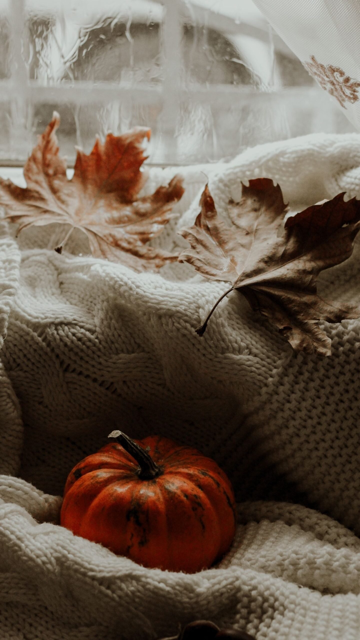 plum noir fall decor ideas — 1. Understanding the Plum Noir Palette
