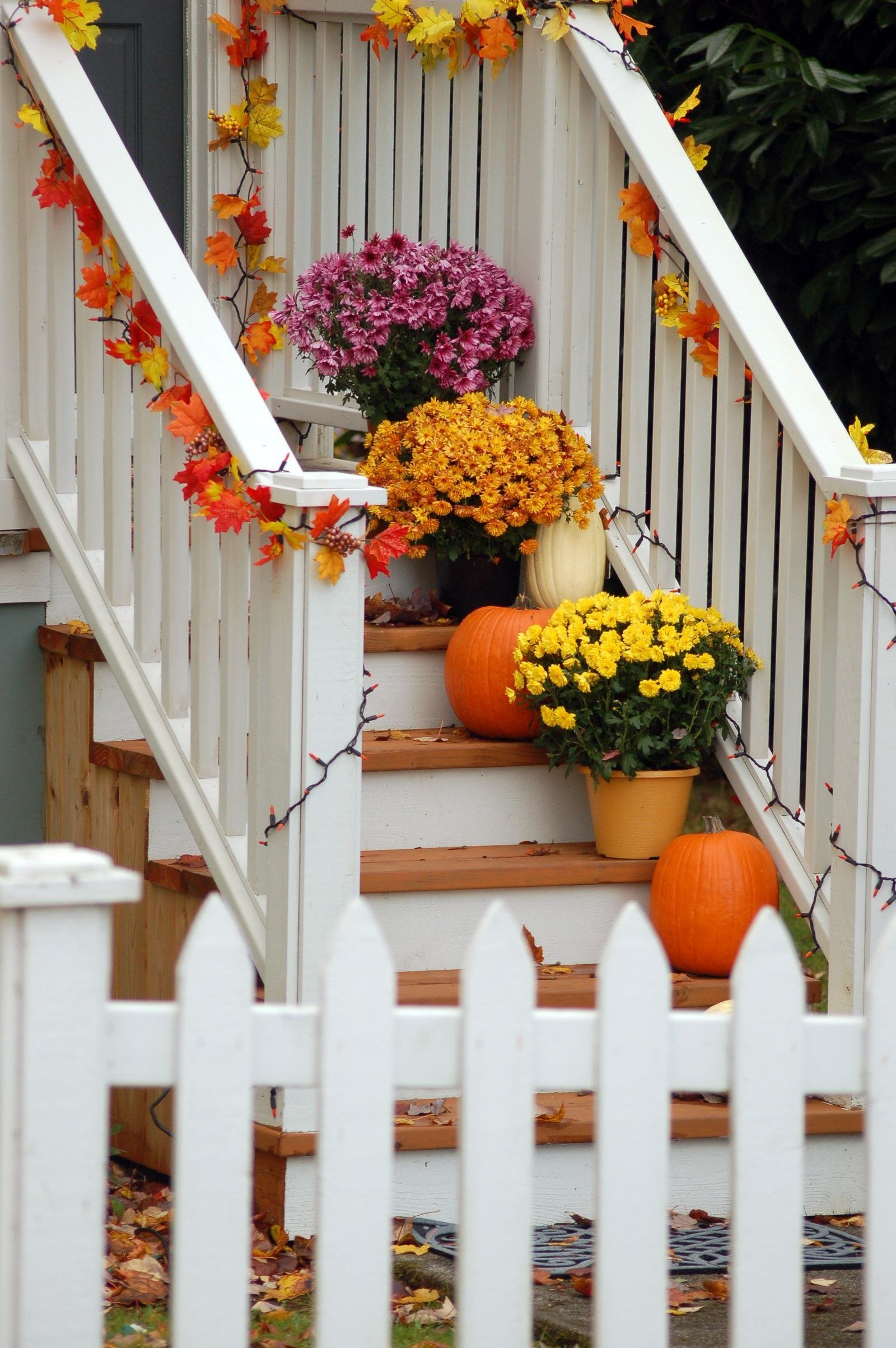 plum noir fall decor ideas — 5. Plum Noir Front Door Styling