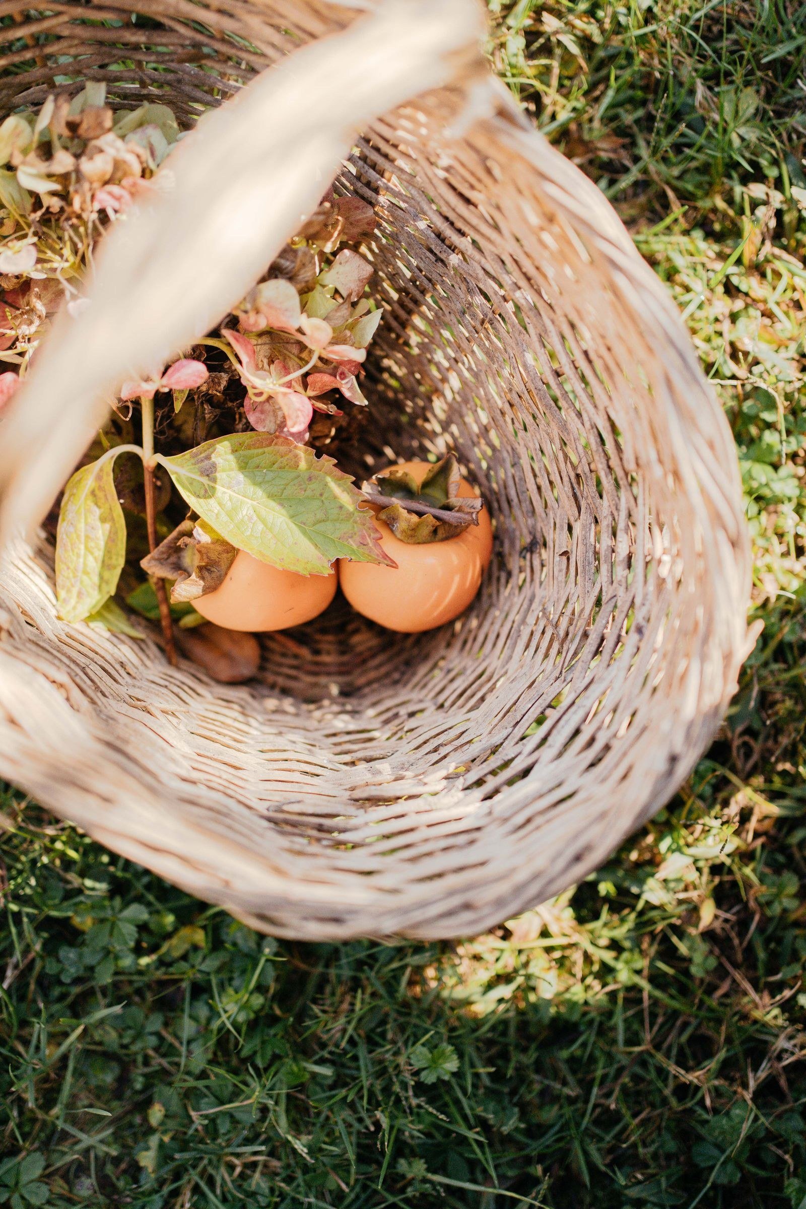persimmon fall decor ideas — 12. Outdoor Persimmon Styling