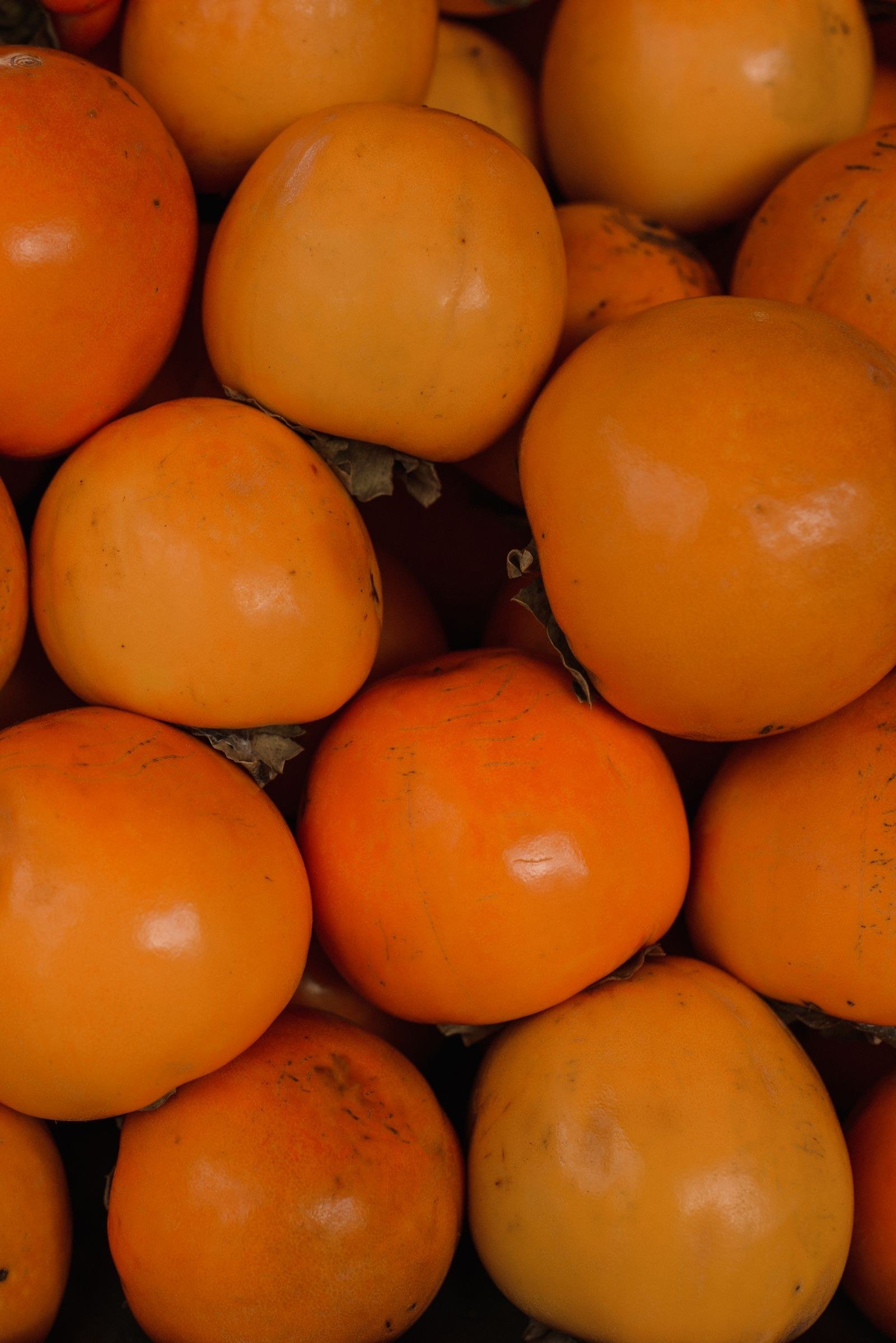 persimmon fall decor ideas — 13. Mixing Persimmon with Neutrals