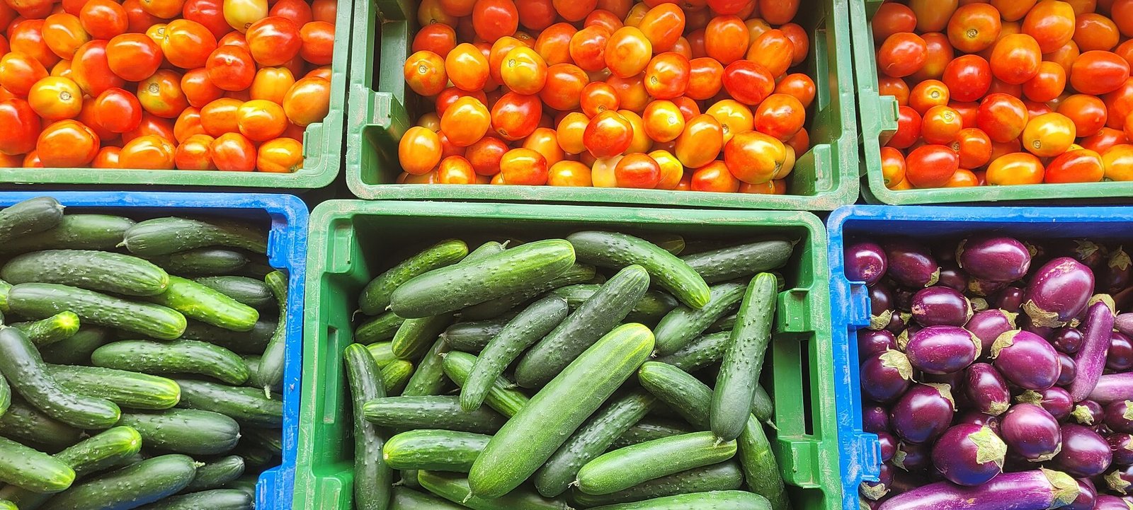 Sustainable zero-waste vegetable centerpiece wedding ideas with compostable decor