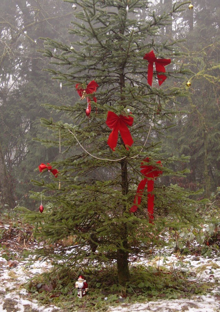 How to Tie the Perfect Christmas Bow for Bows on Christmas trees ideas