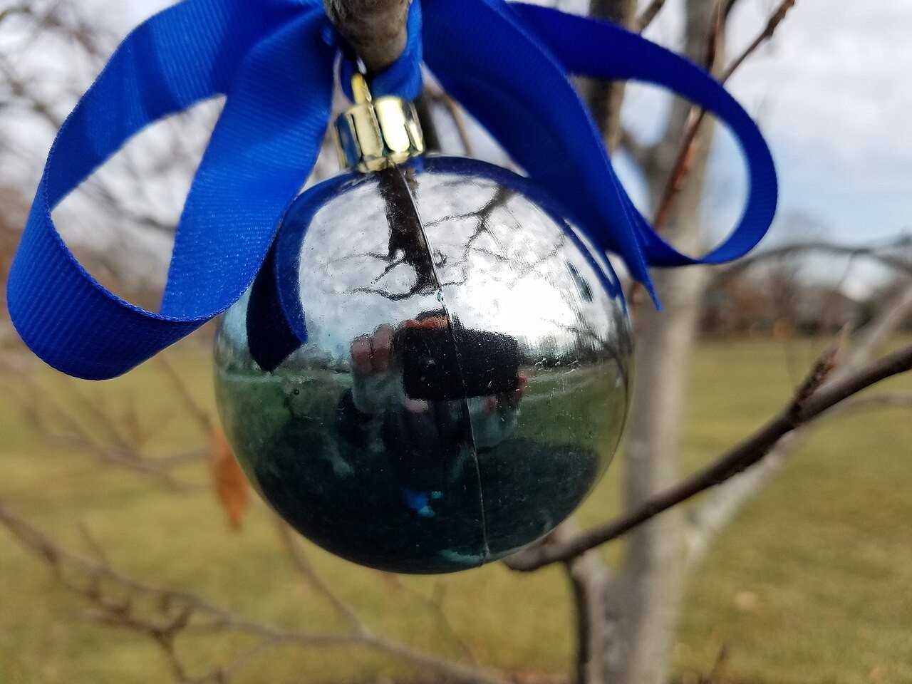 Common Bow Styling Mistakes to Avoid for Bows on Christmas trees ideas