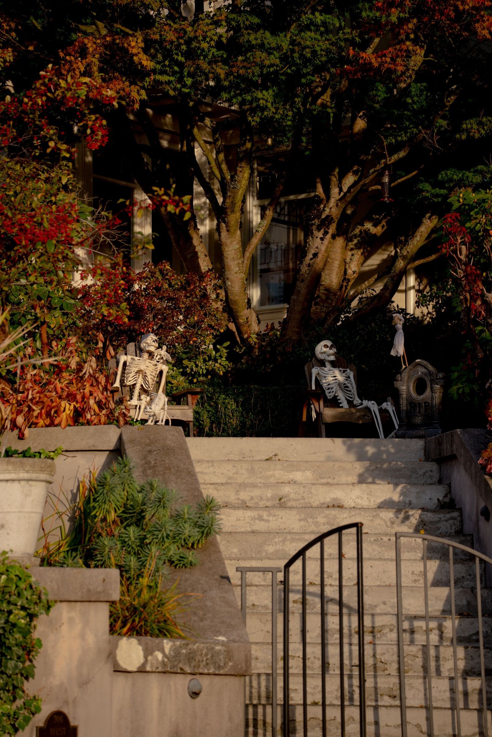 giant skeleton yard display ideas — Choosing the Right Size: 8ft vs. 12ft
