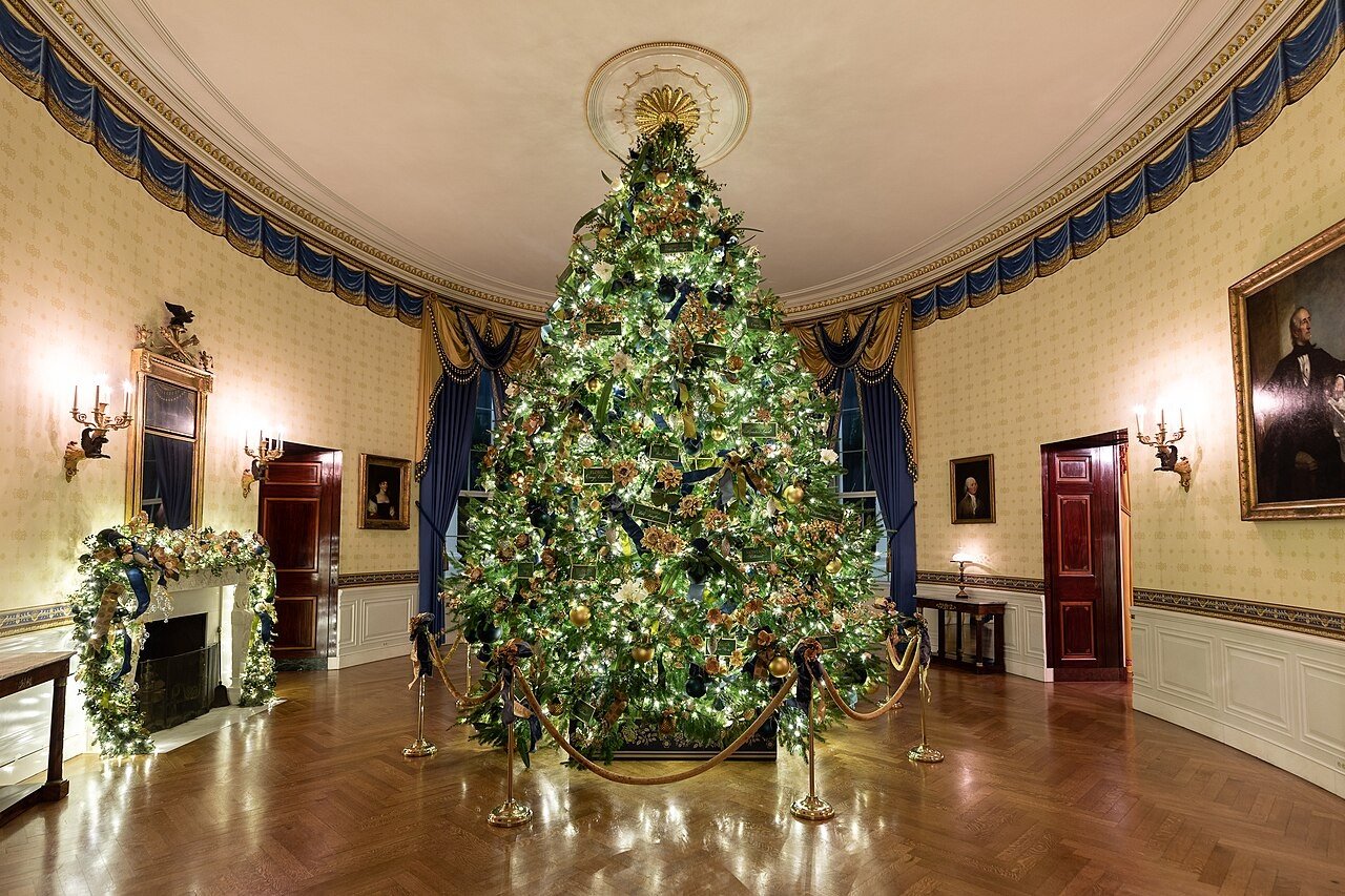 Lights That Make Blue and Silver Shine for Blue and silver Christmas tree ideas