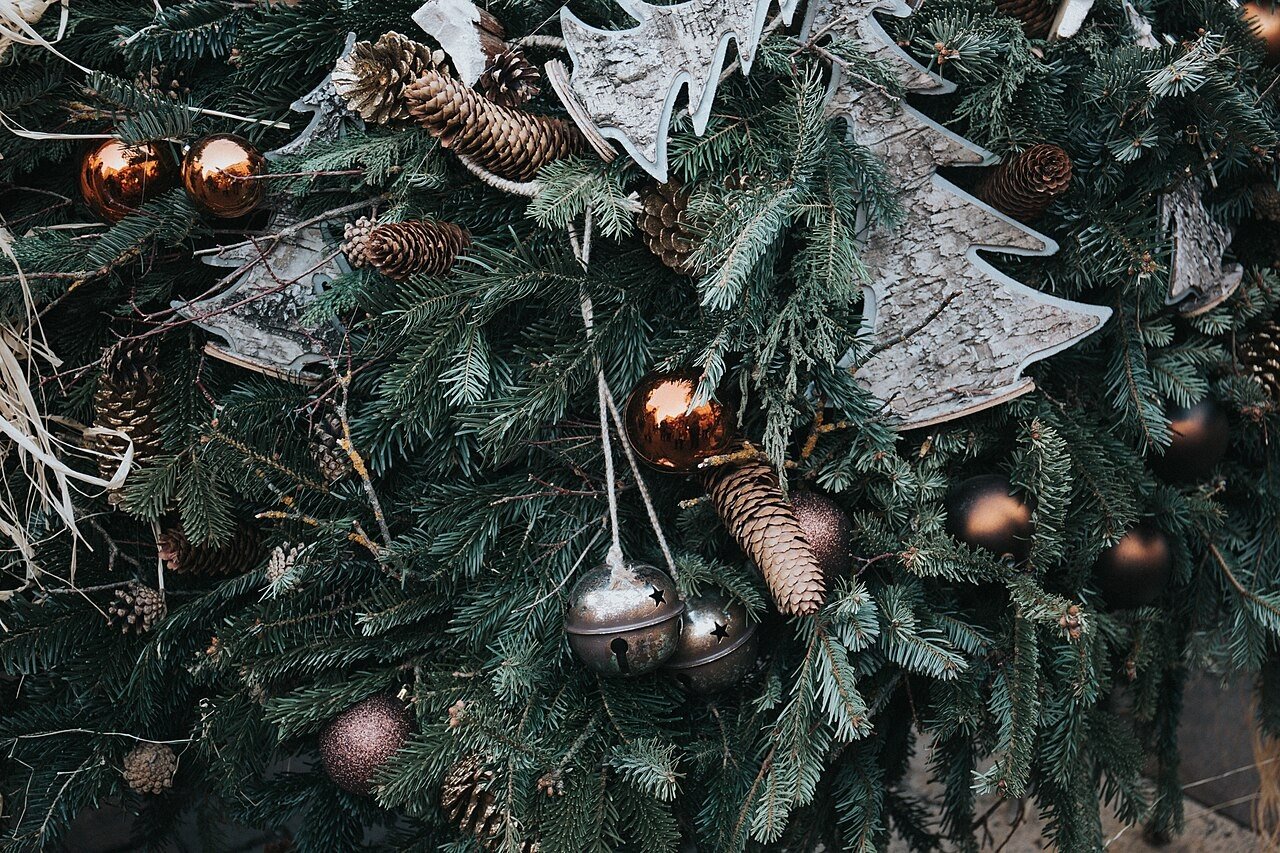 Coastal-Inspired Blue and Silver Trees for Blue and silver Christmas tree ideas