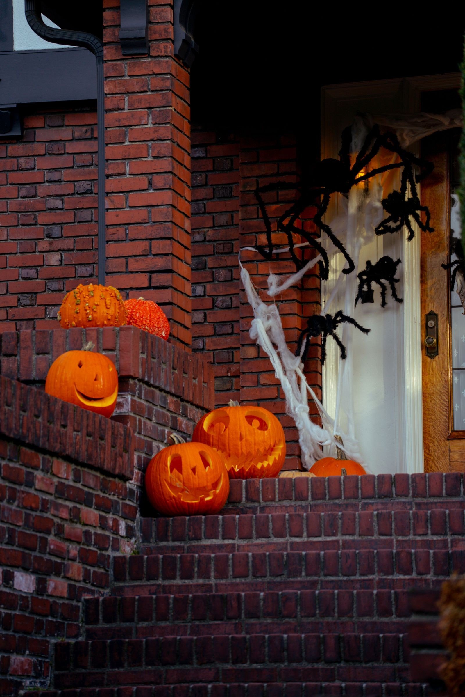 giant skeleton yard display ideas — Trick-or-Treat Night: Making It Magical