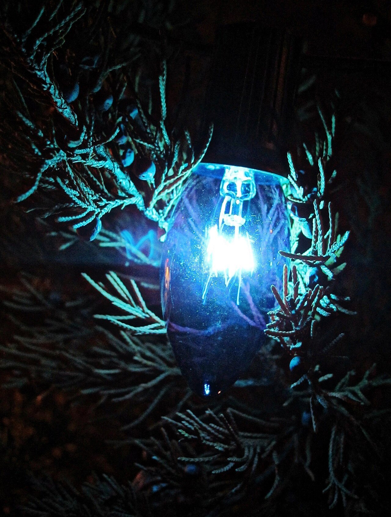 Blue and Silver Trees for Modern Homes for Blue and silver Christmas tree ideas