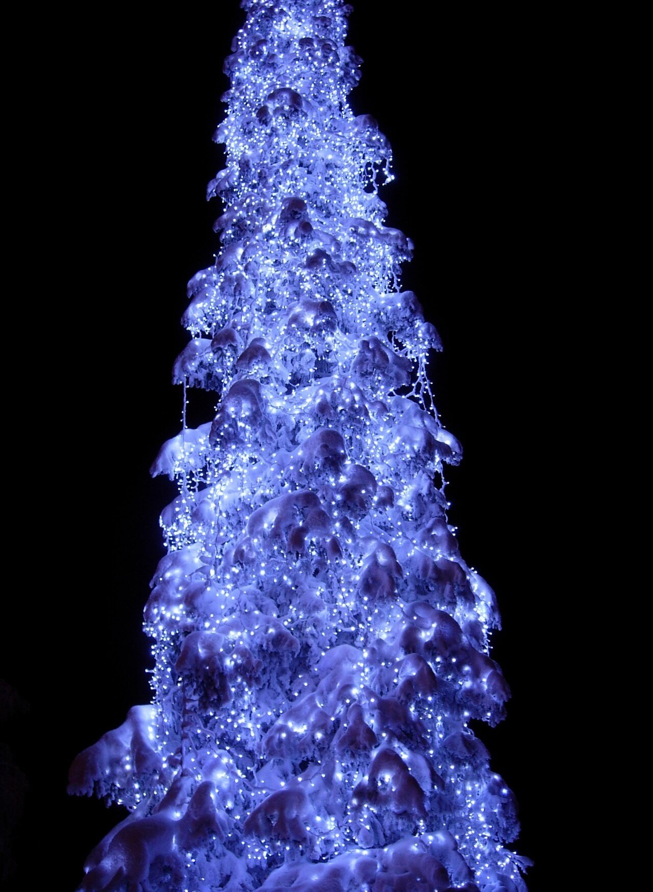 Budget-Friendly Blue and Silver Decor for Blue and silver Christmas tree ideas