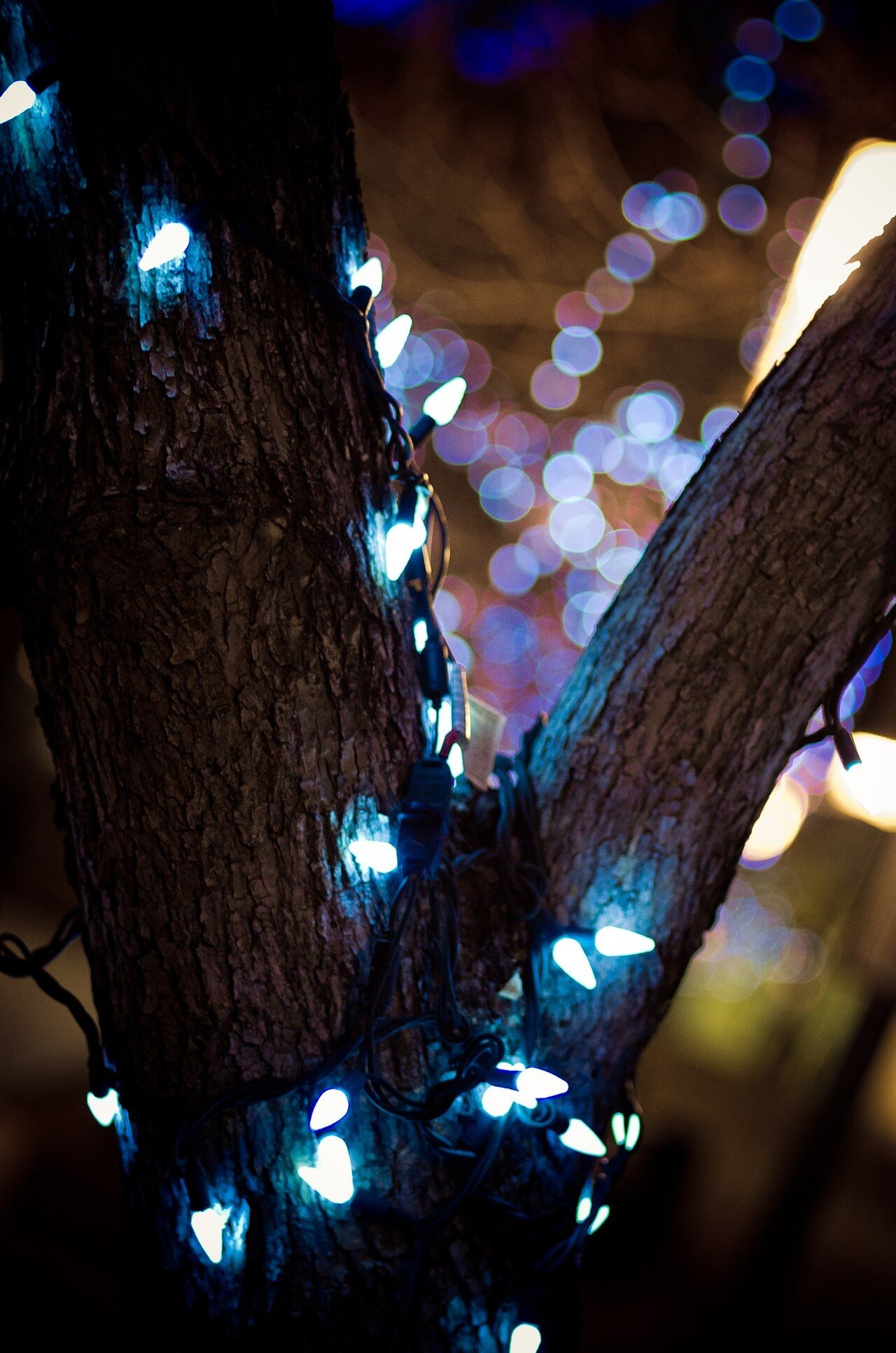 Photographing Your Blue and Silver Tree for Blue and silver Christmas tree ideas