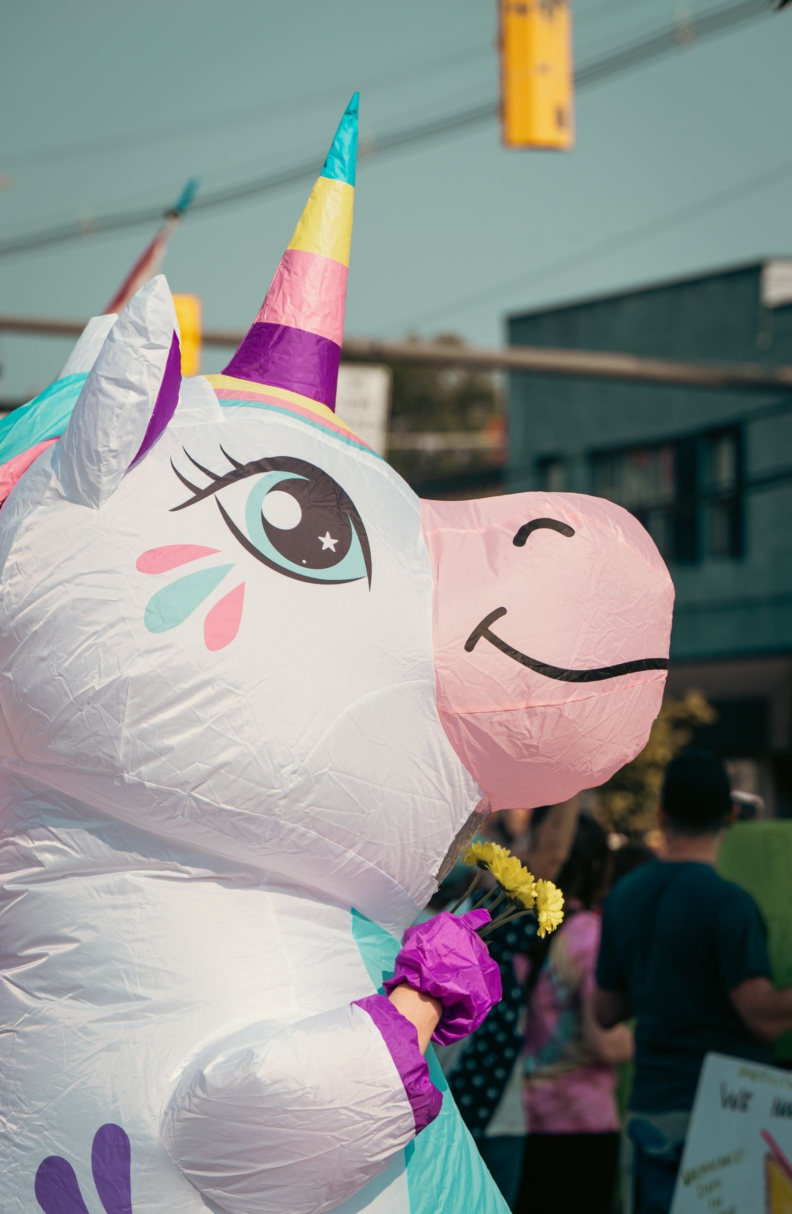 buddy the unicorn halloween costume ideas — The Signature Rainbow Mane and Tail