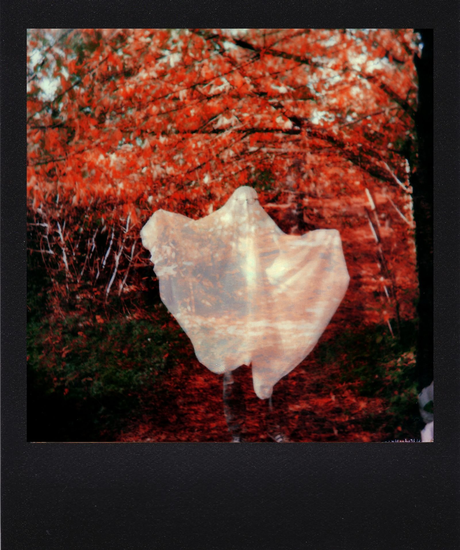 Ghostly figure captured in a Polaroid-style autumn forest scene