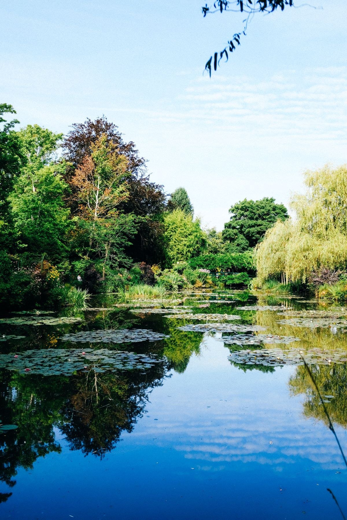 Bride in flowing pastel gown at Monet inspired garden wedding