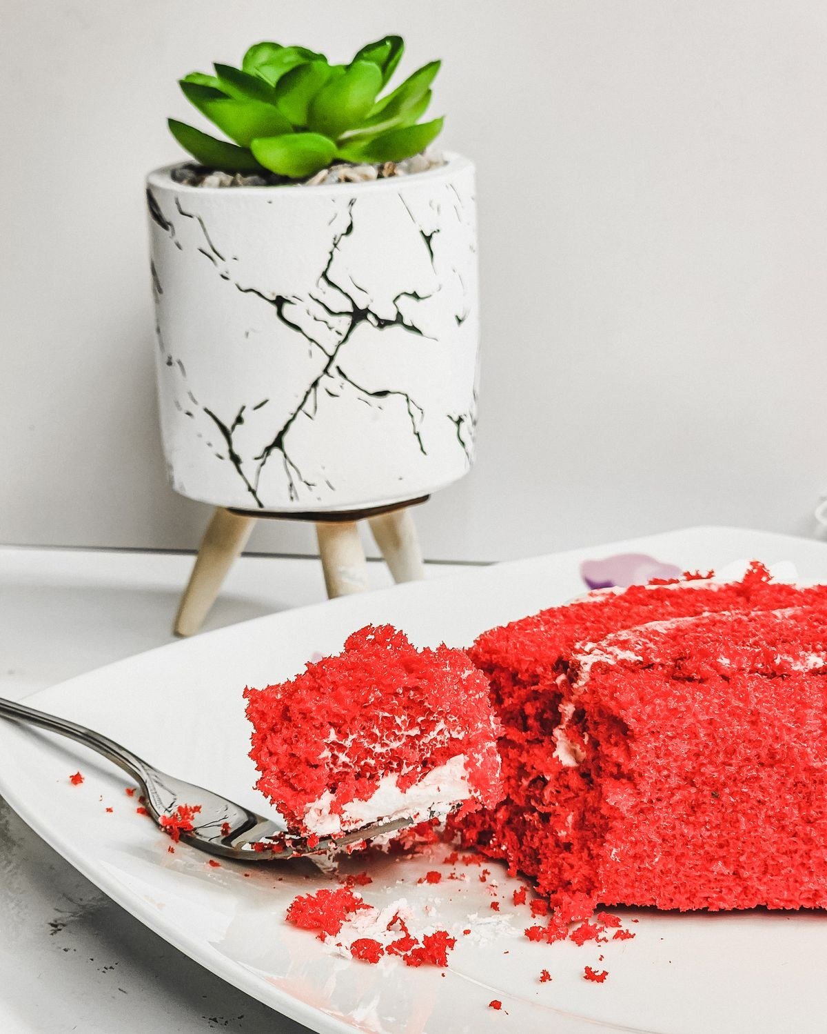 Fixing flower pot cake decoration with piping bag touch-ups