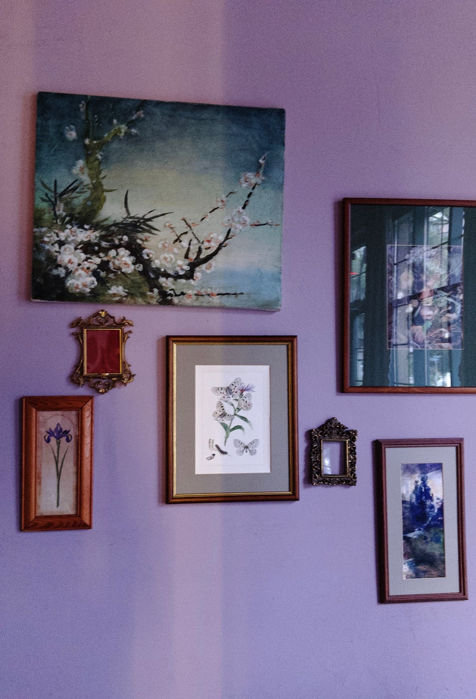 Diverse collection of framed art pieces on a purple wall above sculptural indoor plants