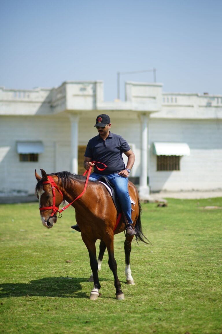 horse riding