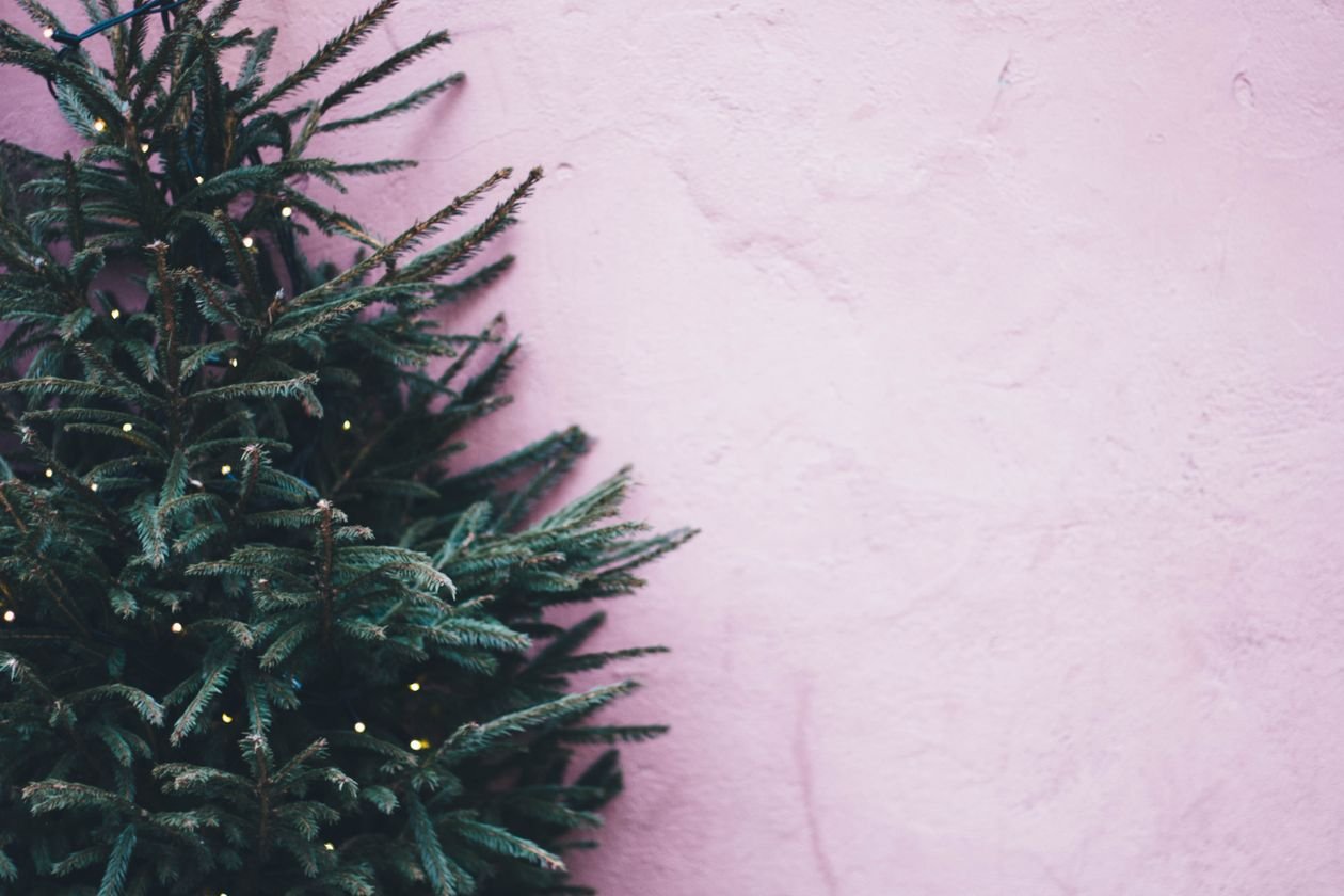 Decorated Christmas tree with lights against a pink wall