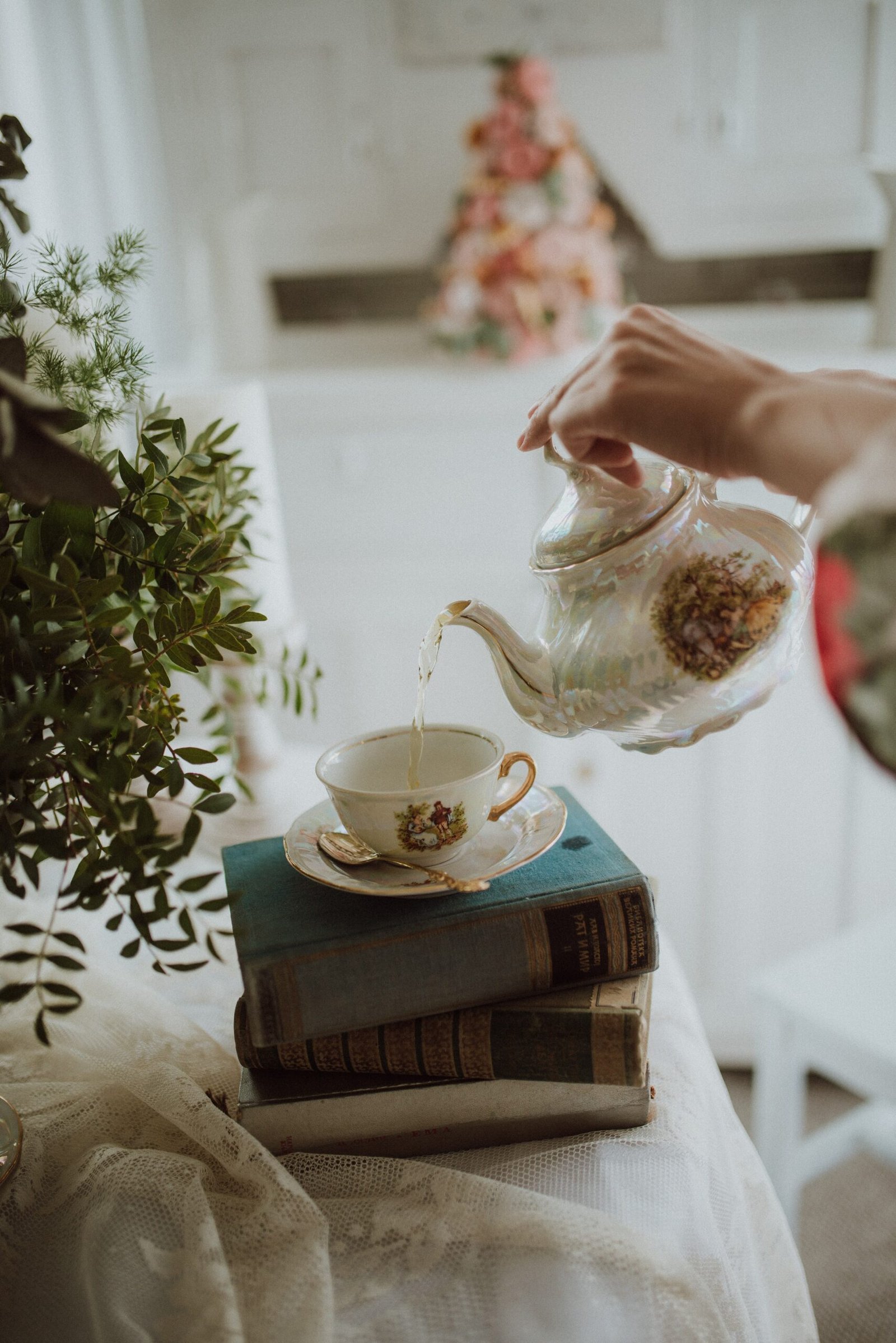 poetcore reading nook ideas — Budget Poetcore: Thrifted, Not Bought