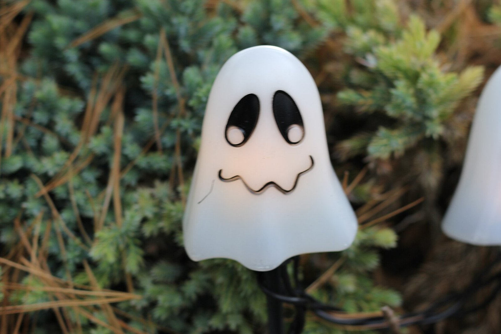 DIY tomato cage ghost ideas with creative colored variations beyond classic white ghosts