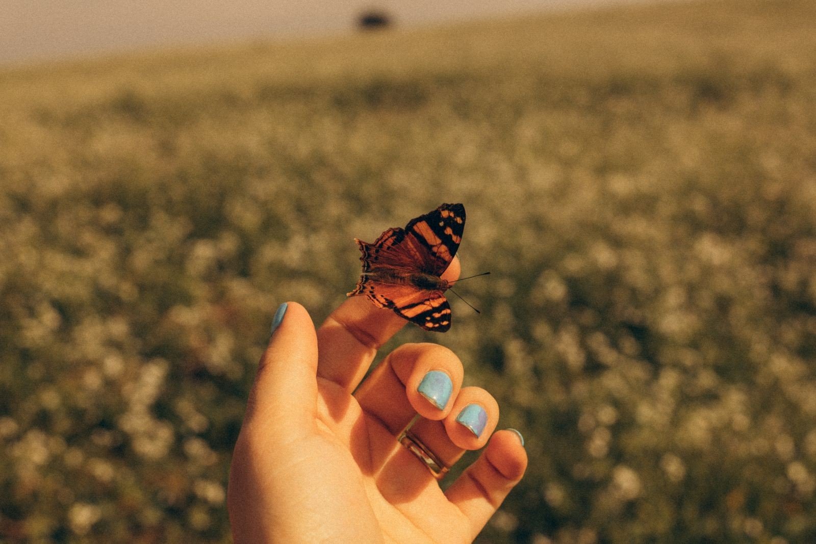 Applying dragonfly nail decals onto polished nails