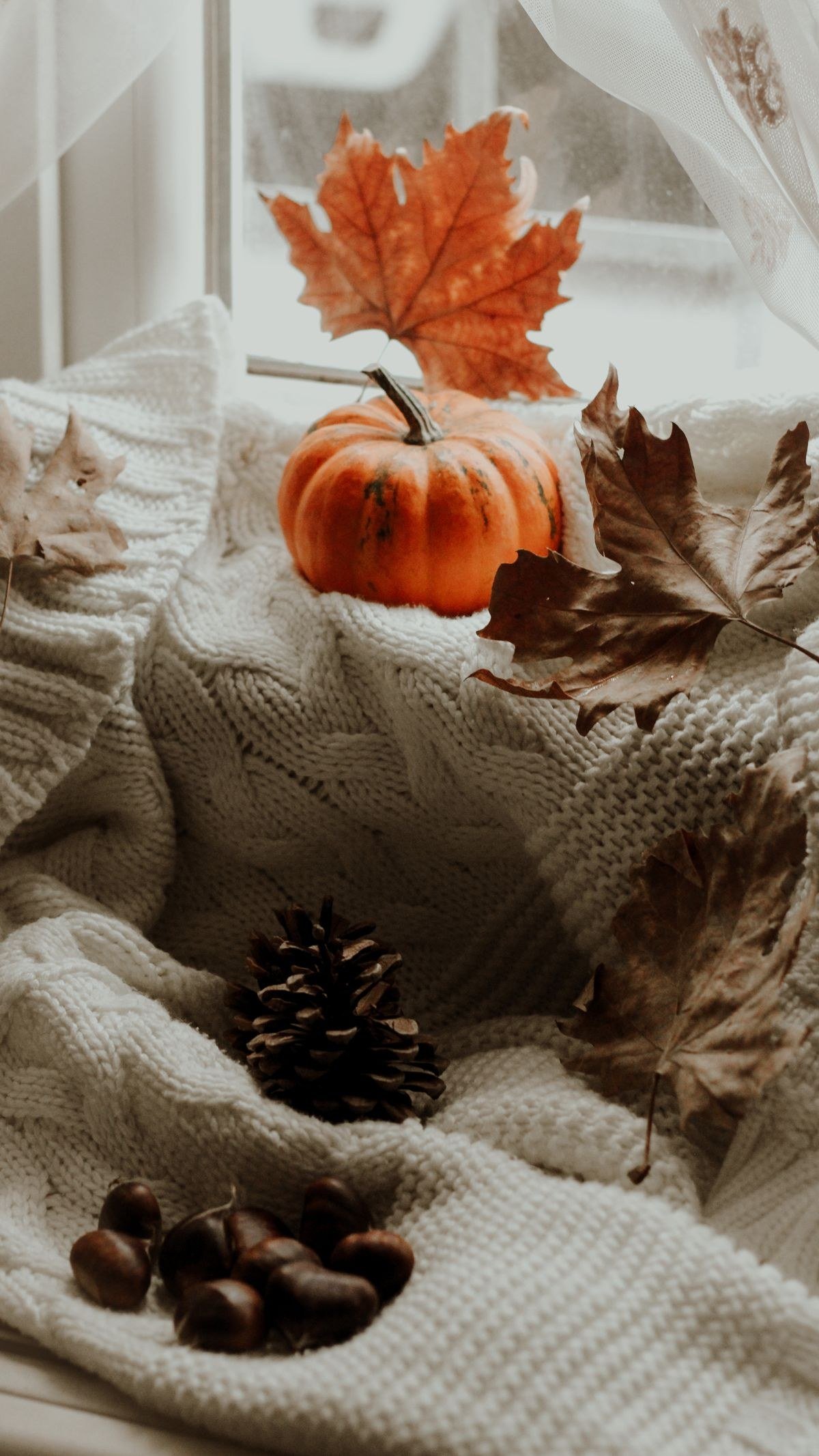 Simple minimalist holiday decor transitioning from fall with greenery