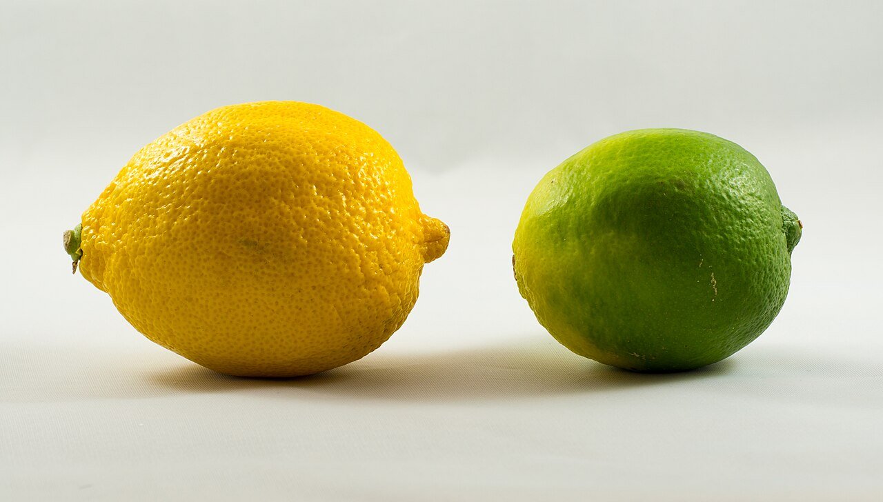 Citrus at the ready for Hugo spritz garnishes