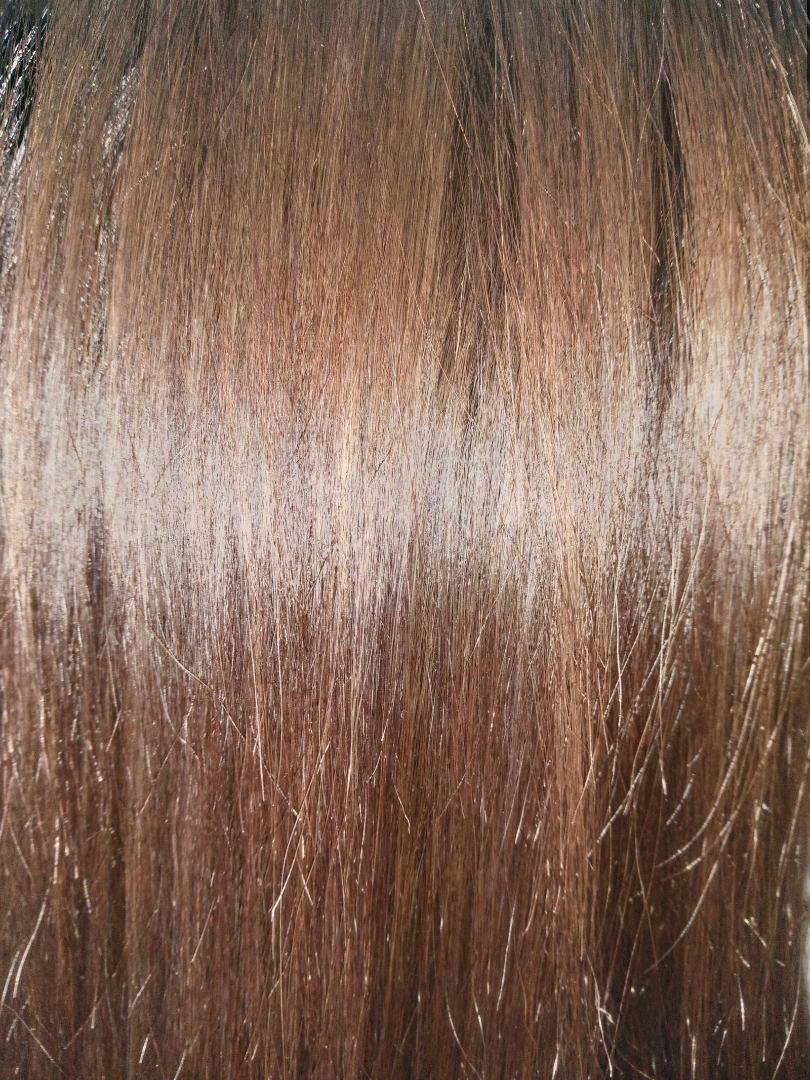 Brunette hair with a seamless root melt blending dark roots into lighter ends