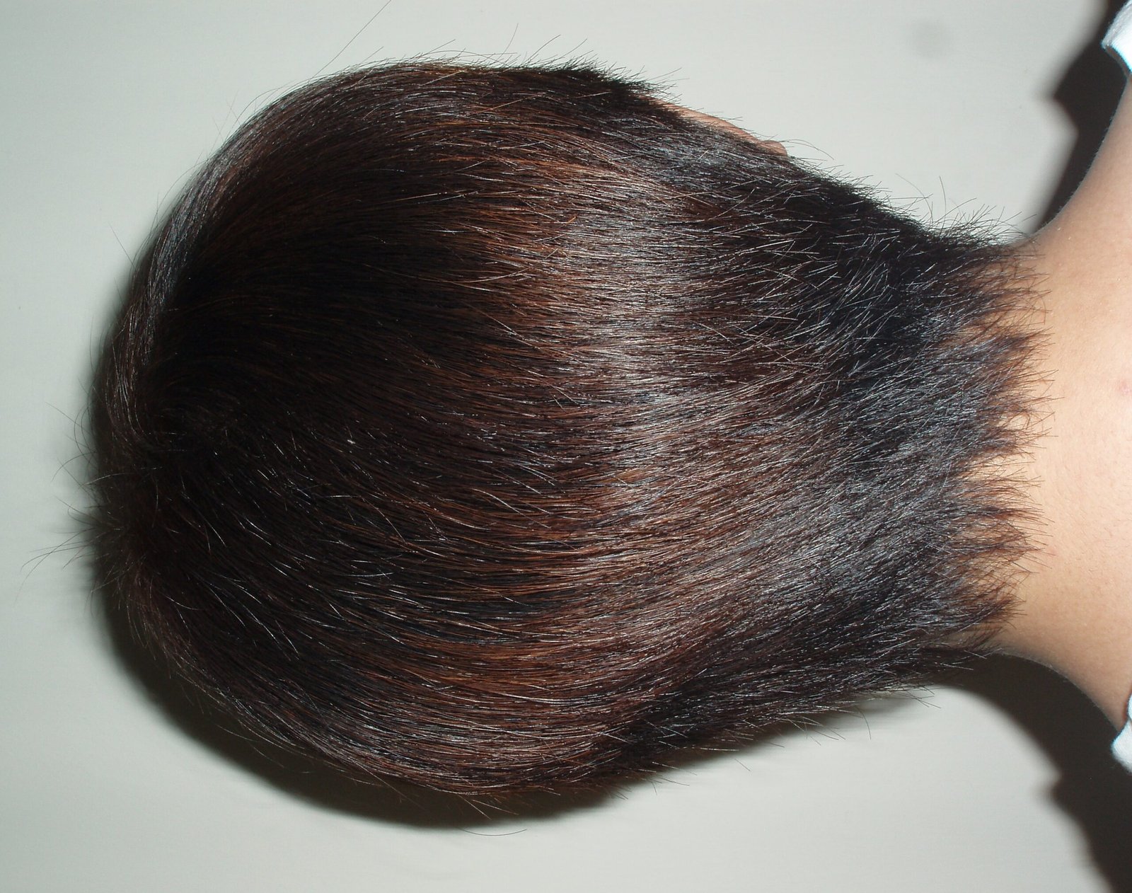 Cool-toned mushroom brunette hair with ashy dimension