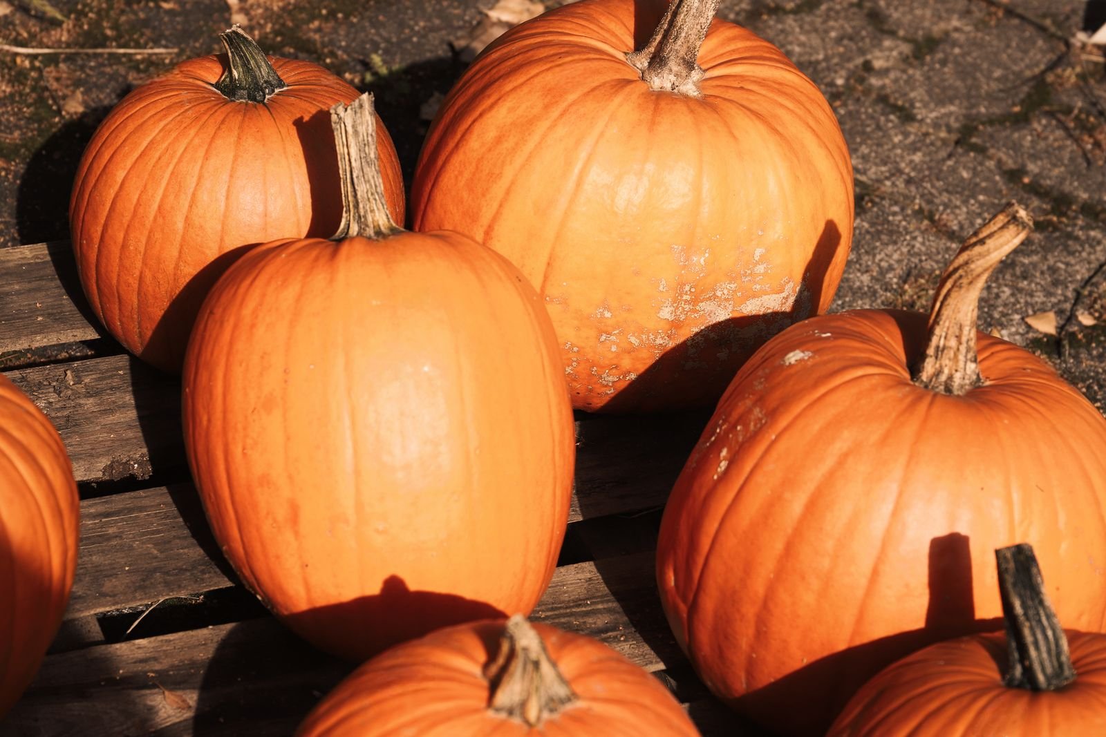 Orange pumpkins and squash arranged on a rustic autumn table