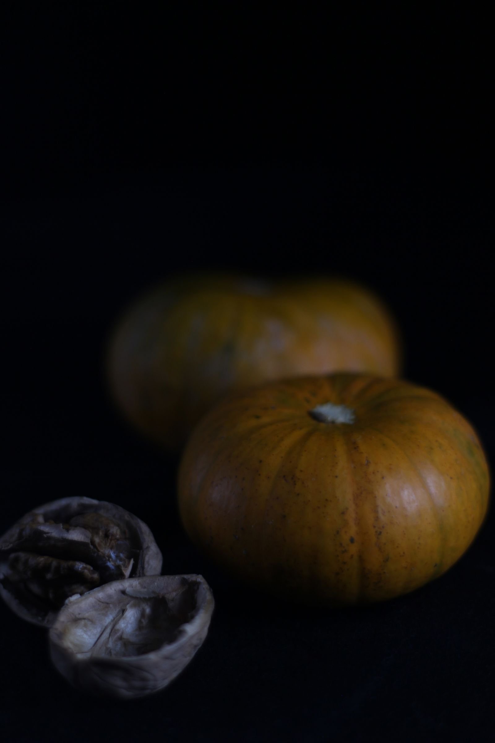 Dark still life of pumpkins and nutshells evoking an autumn mood
