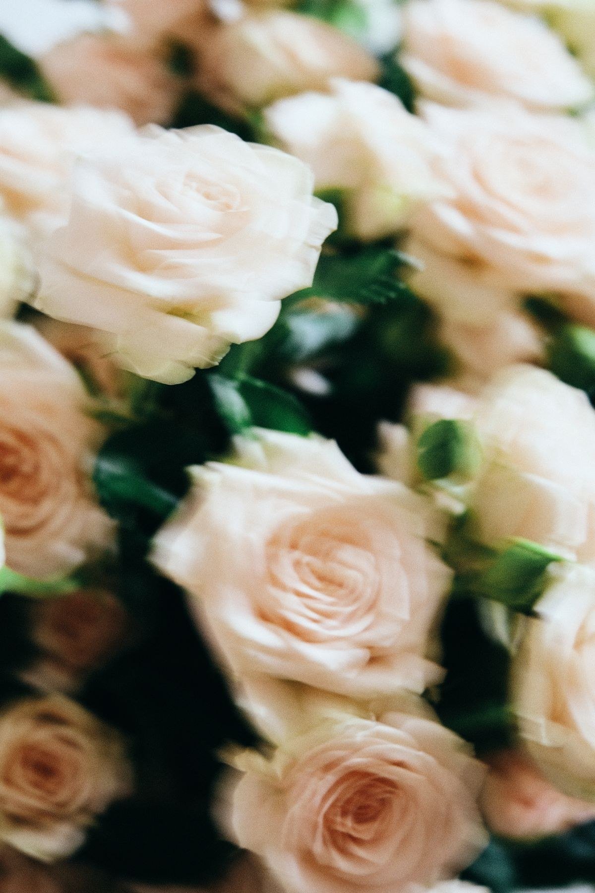 Burgundy amaranthus bouquet with white roses