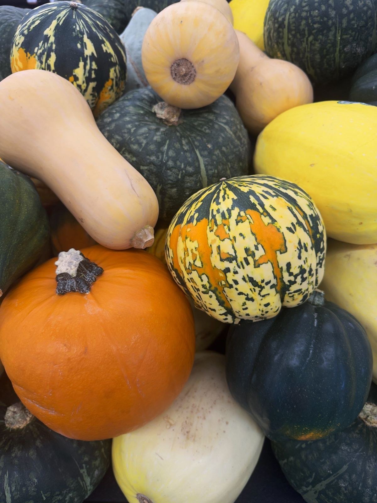 Serving bowls of spooky pumpkin soup