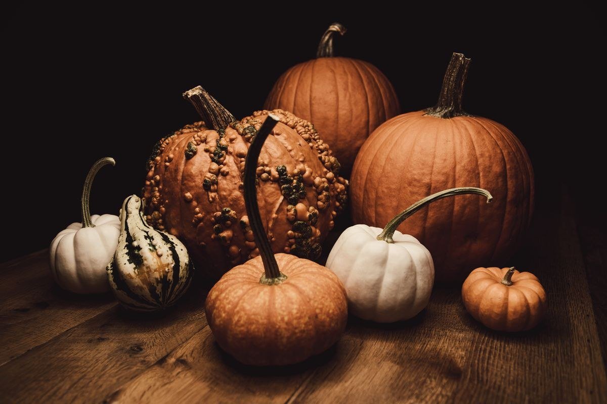 Kids enjoying spooky pumpkin soup at Halloween