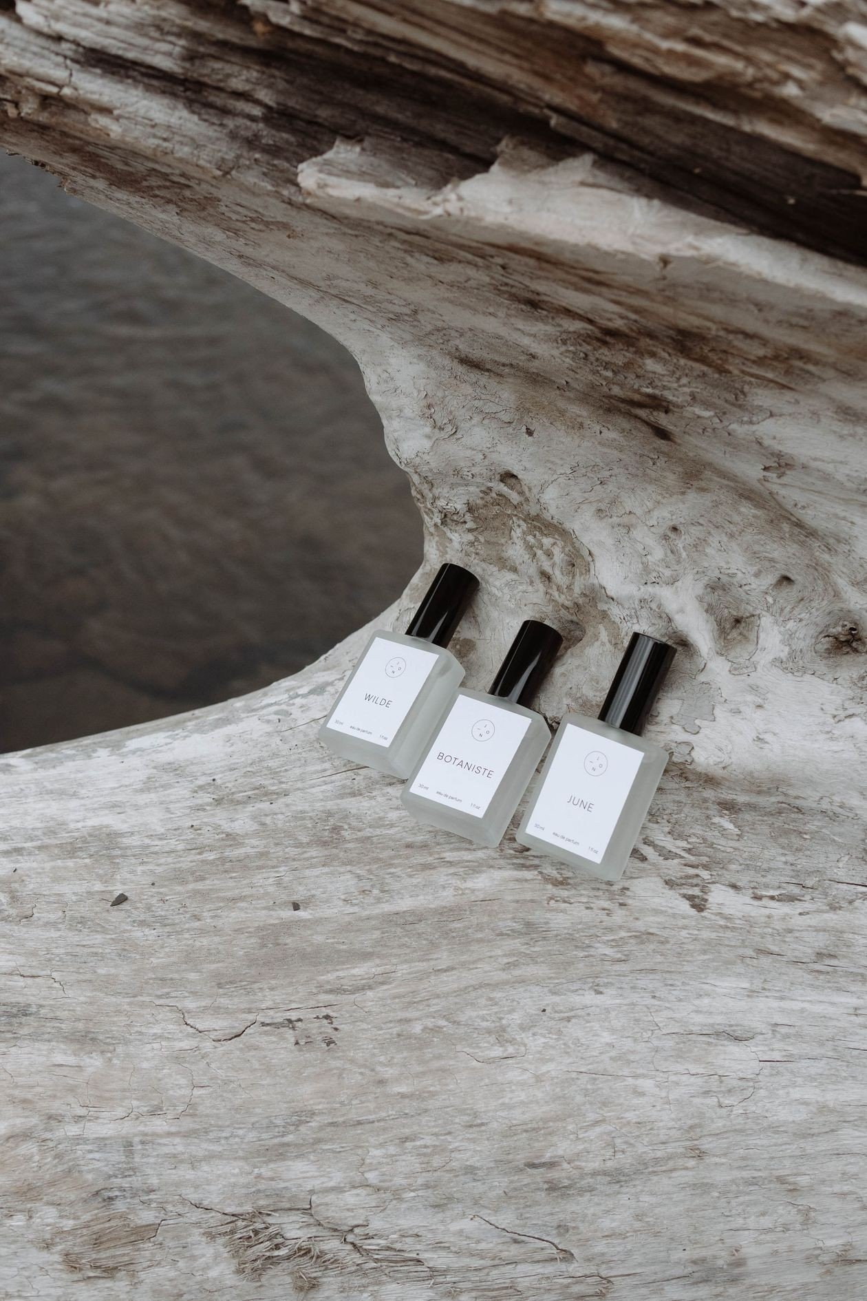 Milky perfume ideas idea: Creamy Musk in Milky Perfume