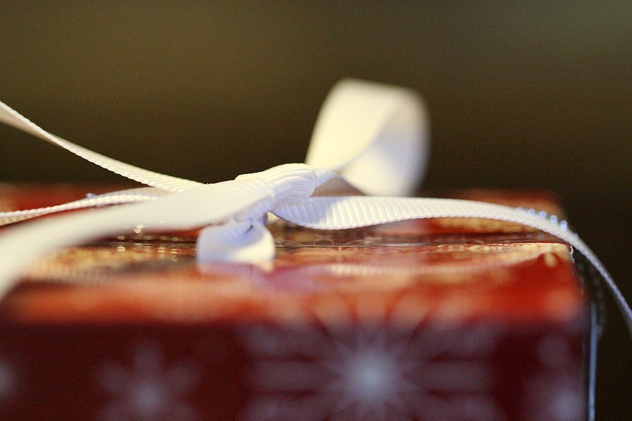 Wrapped Christmas gift with a white bow