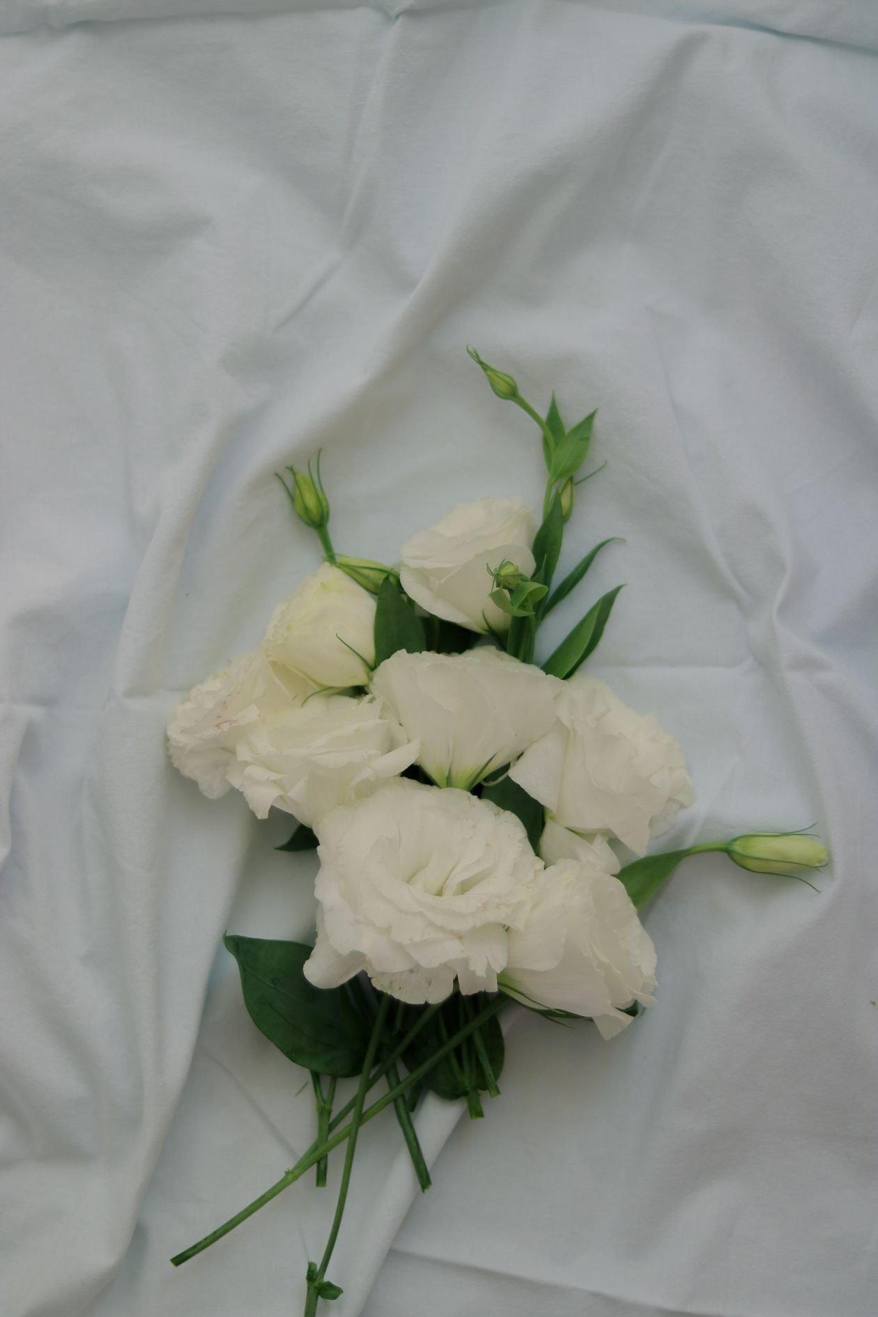 Milky perfume ideas idea: Milky Scents for Different Seasons
